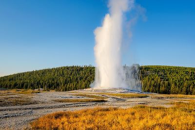 Voyage Geysers et glaciers du Wyoming au Montana 2