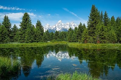 Parc national de Grand Teton - Wyoming - Etats-Unis