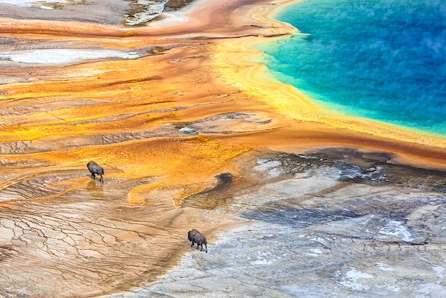 Forêts, collines, rivières et lacs : Geysers et glaciers du Wyoming au Montana Voyage Geysers et glaciers du Wyoming au Montana