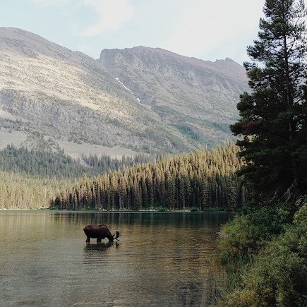 Randonnée Etats-Unis Parcs de l'ouest et Rocheuses