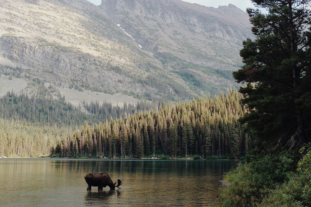 Image Autotour Yellowstone - Randonnée Glacier National Park - rafting Grand Teton