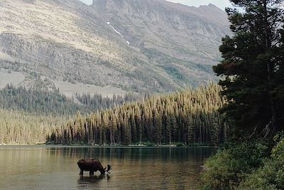 Glacier National Park - Montana - Etats-Unis