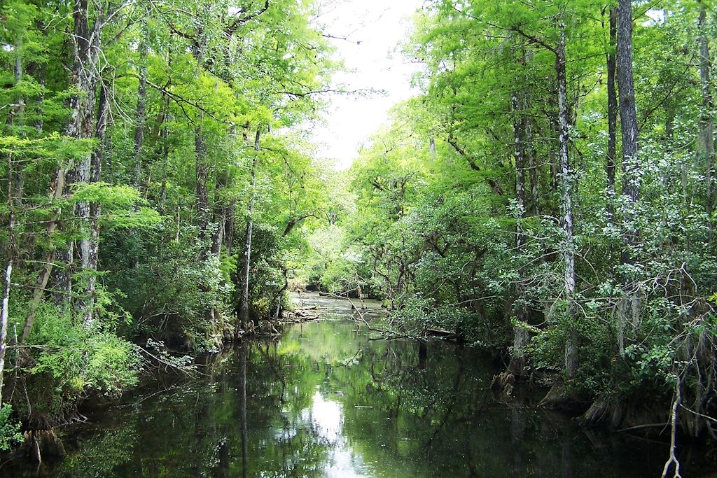 Voyage La Floride et les Everglades  1