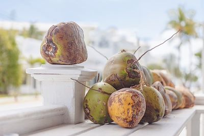 © Charles George / Stocksy - Noix de coco fraîche - Floride - Etats-Unis Noix de coco fraîche - Floride - Etats-Unis