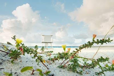 © Maryanne Gobble / Stocksy - La plage Pensacola - Floride - Etats-Unis La plage Pensacola - Floride - Etats-Unis
