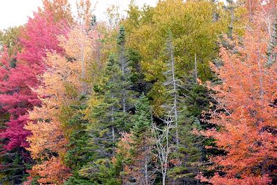 White Mountains - New Hampshire - Etats-Unis