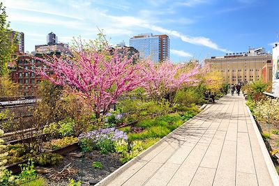 High Line - New York