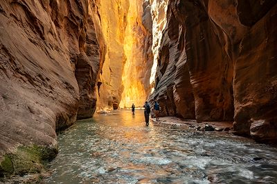 Randonnée aquatique, The Narrows, Parc National de Zion - Etats-Unis