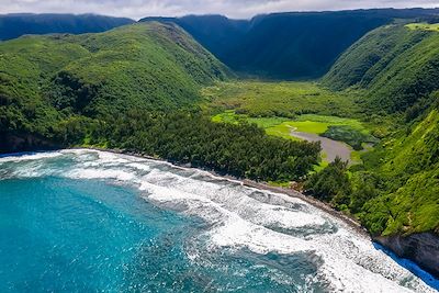 Pololu Valley et Black Beach, Big Island, Hawaï - Etats-Unis