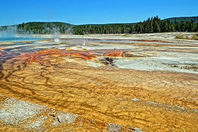 Yellowstone - Etats-Unis