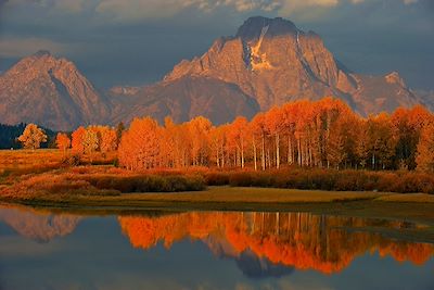 Jackson Hole - Etats-Unis