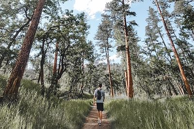 Sentier Lovers Leap - Parc d’État de Custer - Dakota du Sud - États-Unis