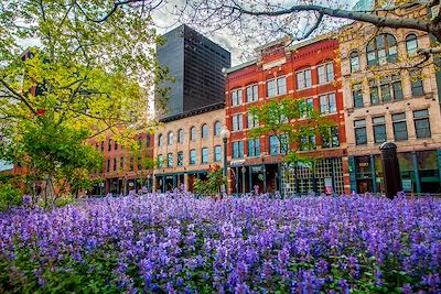 Denver, Colorado 