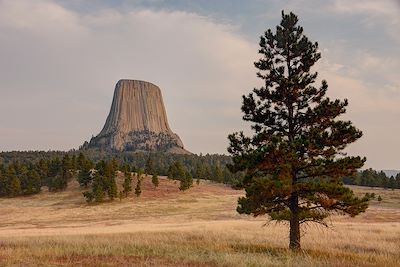 Devils Tower National Monument, Wyoming, USA