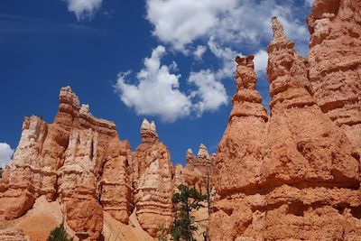 Parc national de Bryce Canyon - Etats-Unis