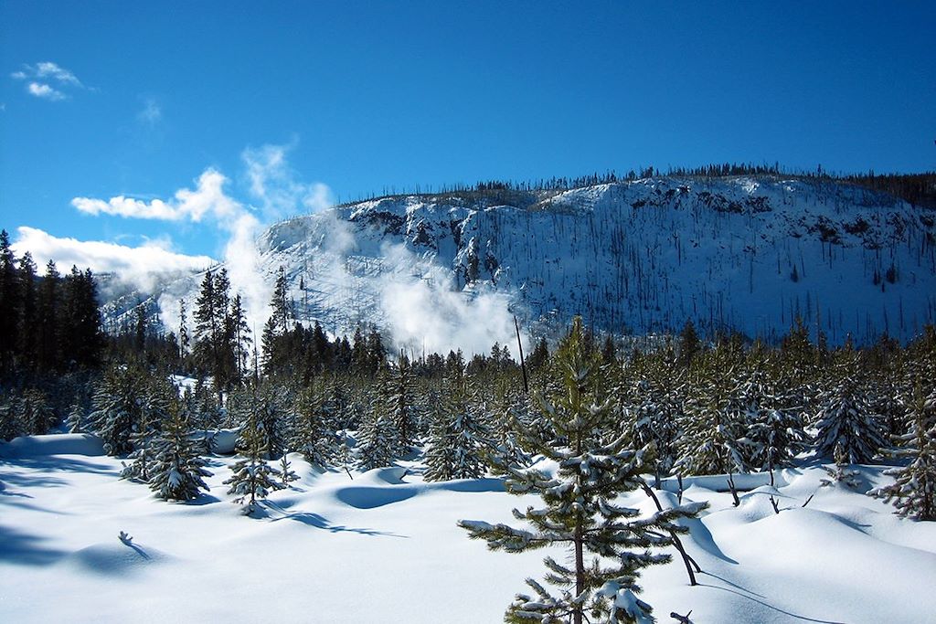 Voyage Aventures enneigées au Yellowstone 1