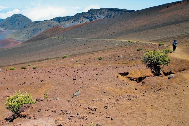 Voyage Hawaï, entre jungle et volcans