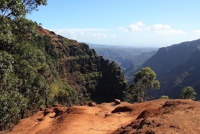 Canyon Trail - Kauai - Archipel d'Hawaï - États-Unis