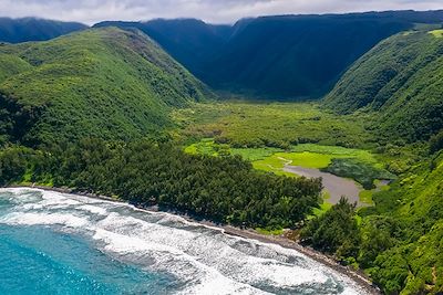 Pololu Valley et Black Beach, Big Island, Hawaï - Etats-Unis