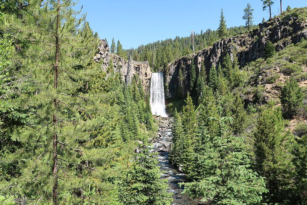 Image Autotour Etats-Unis, Parc National de Crater Lake, Observation des baleines