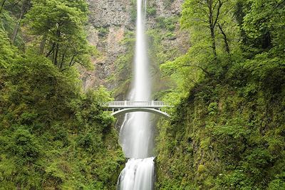 Multnomah Falls - Oregon - États-Unis