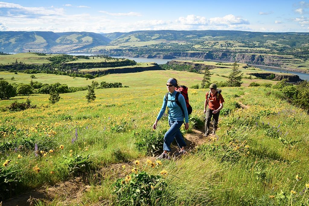 Image Autotour Etats-Unis, Parc National de Crater Lake, Observation des baleines
