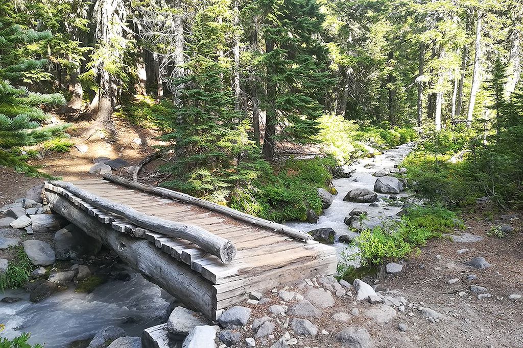 Image Autotour Etats-Unis, Parc National de Crater Lake, Observation des baleines