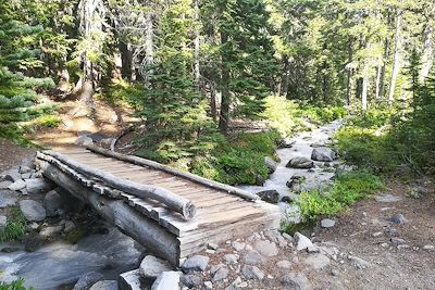 Pont et rivière glacière - Mont Jefferson Wilderness Area - Etats-Unis