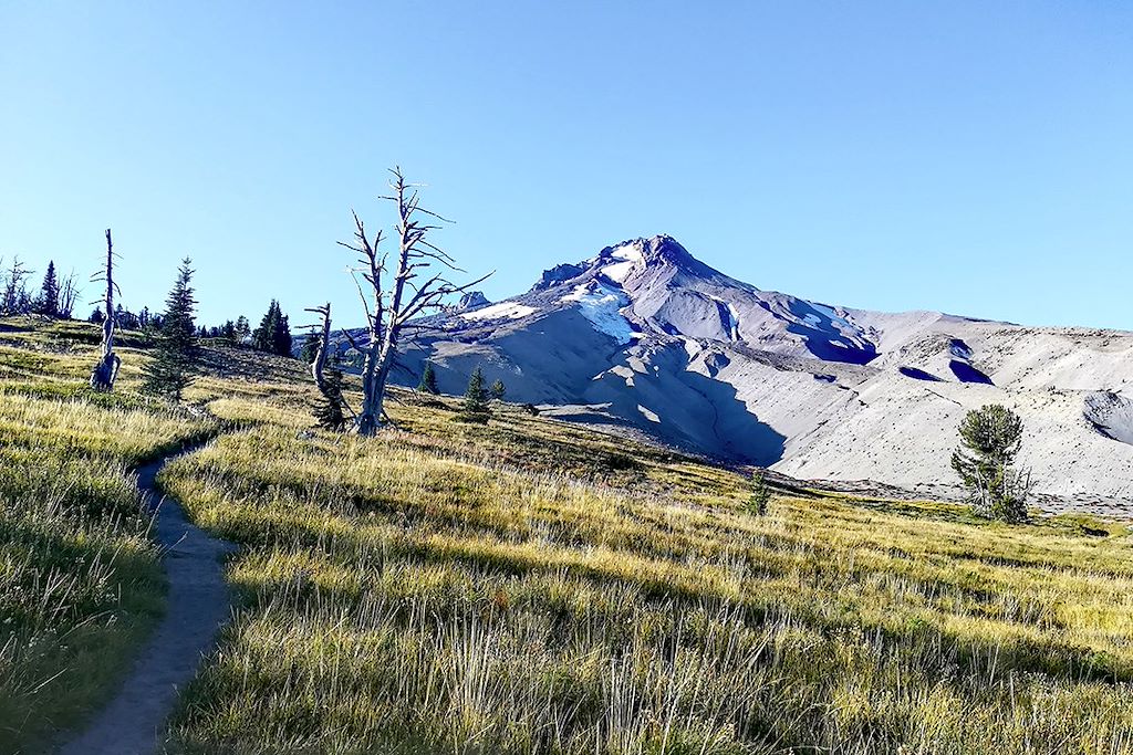 Image Autotour Etats-Unis, Parc National de Crater Lake, Observation des baleines