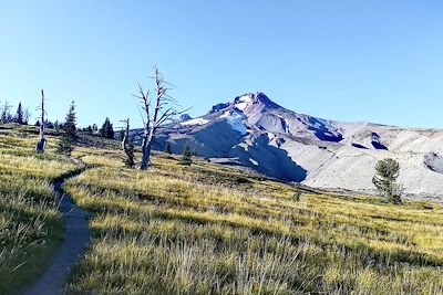 Mont Hood - Timberline Trail - Oregon - Etats-Unis