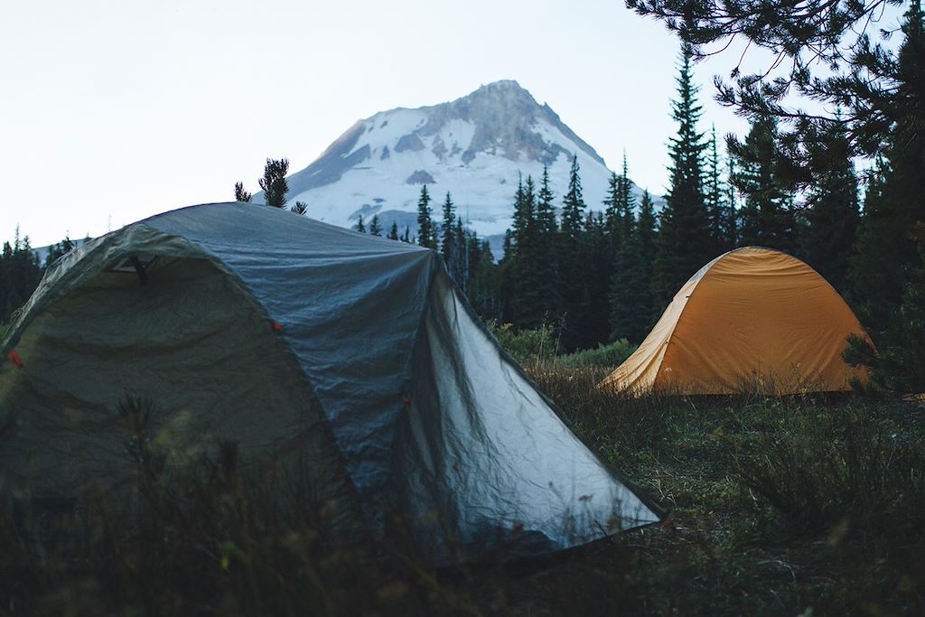 Image Autotour Etats-Unis, Parc National de Crater Lake, Observation des baleines