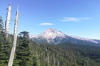 Mont Hood - Oregon - Etats-Unis