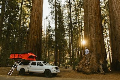 Campervan au Sequoia National Parc - 
