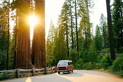 Van dans le parc national Sequoia 