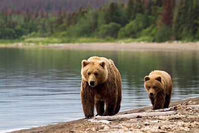 Voyage Randonnée entre mer et montagnes en Alaska 1