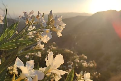 Coucher de soleil au Griffith Observatory - Los Angeles - Californie - Etats-Unis