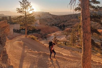 Navajo Loop - Queens Garden Trail - Bryce Canyon - Utah- Etats-Unis