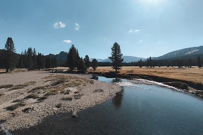 Tuolumne Meadows - Yosemite - Californie - Etats-Unis 