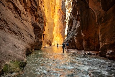 Randonnée aquatique, The Narrows, Parc National de Zion - Etats-Unis