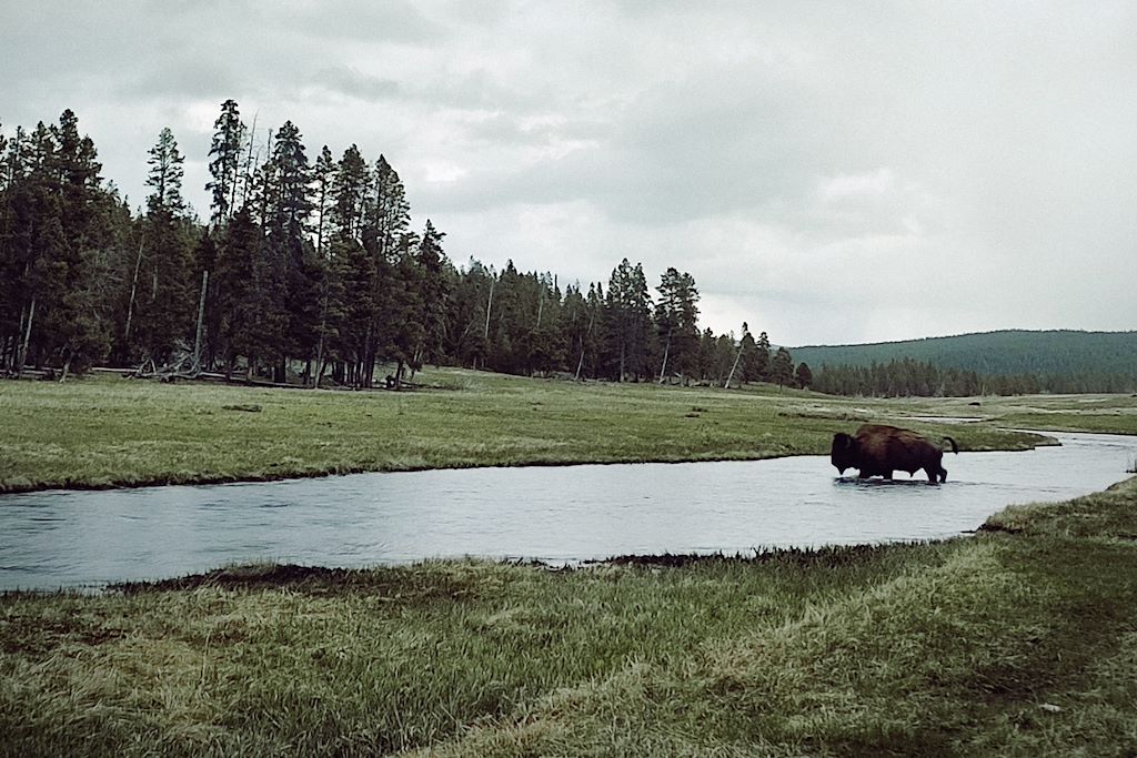 Image Autotour Yellowstone, Randonnée Zion, Grand Canyon