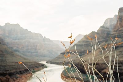 Grand Canyon National Park, Arizona