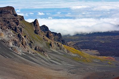 © Luis Recinos - Sentier  Sentier