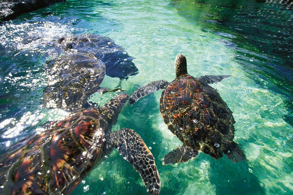 Image Hawaï d'île en île