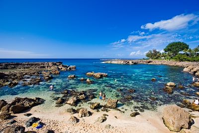 © Tor Johnson / Hawaii Tourism Authority (HTA) - Pupukea Marine Life Conservation District - Oahu - Hawaï Pupukea Marine Life Conservation District - Oahu - Hawaï