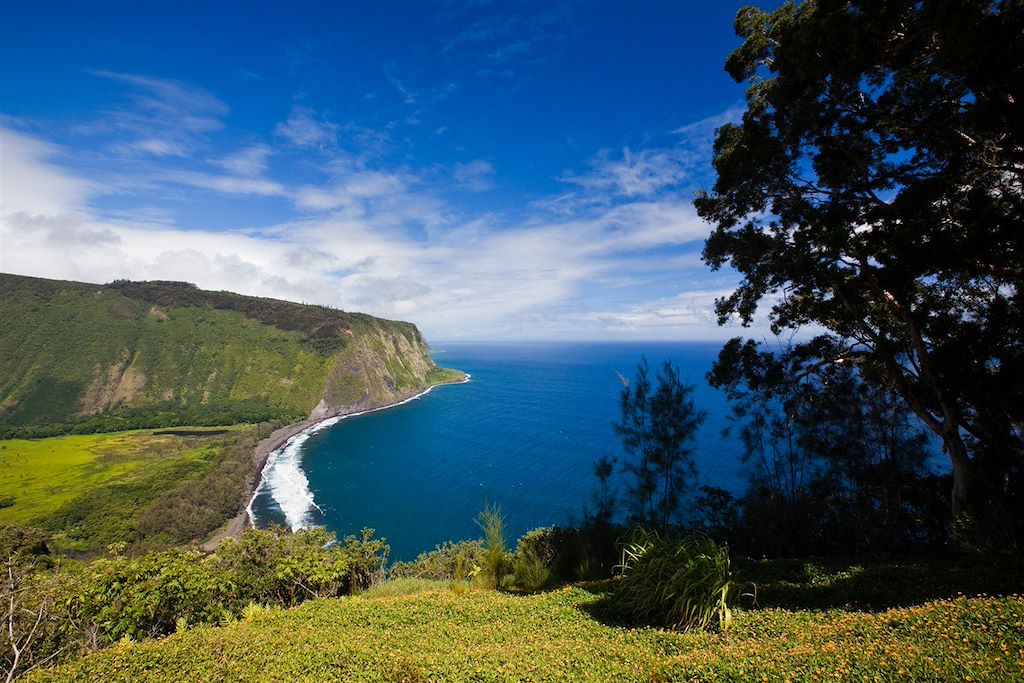 Image Hawaï d'île en île