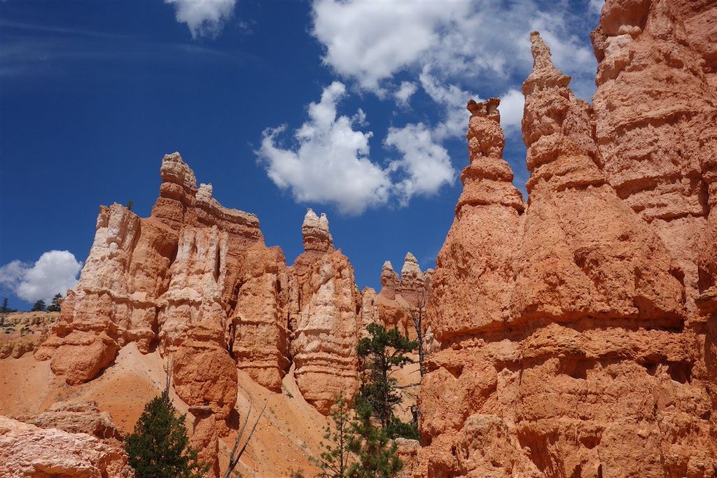Image Randonnée Yellowstone - voyage parcs nationaux USA - Grand Canyon