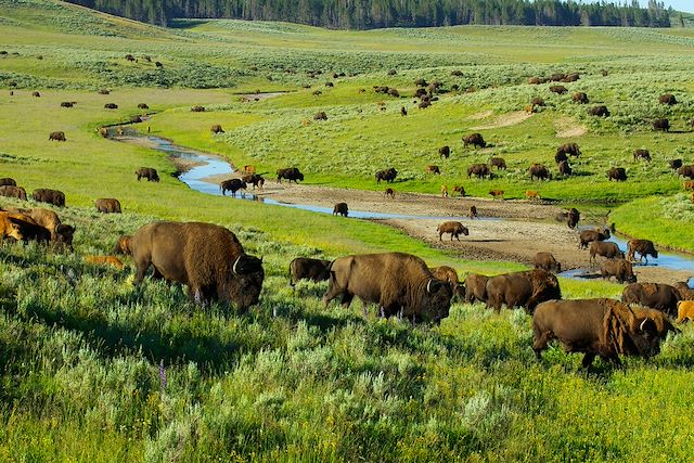 Randonnée Etats-Unis Parcs de l'ouest et Rocheuses