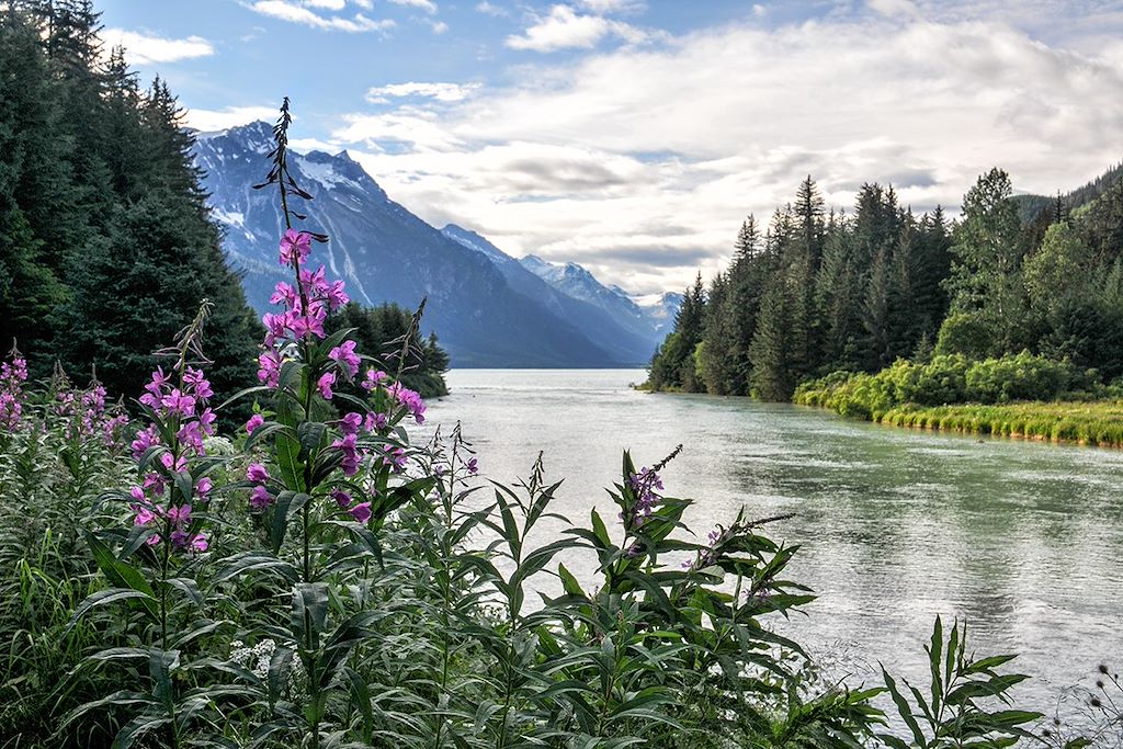 Image Voyage Alaska - Denali National Park