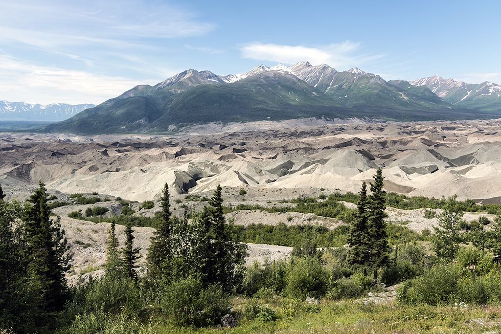 Image Voyage Alaska - Denali National Park
