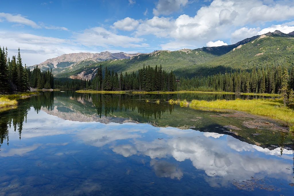 Image Voyage Alaska - Denali National Park